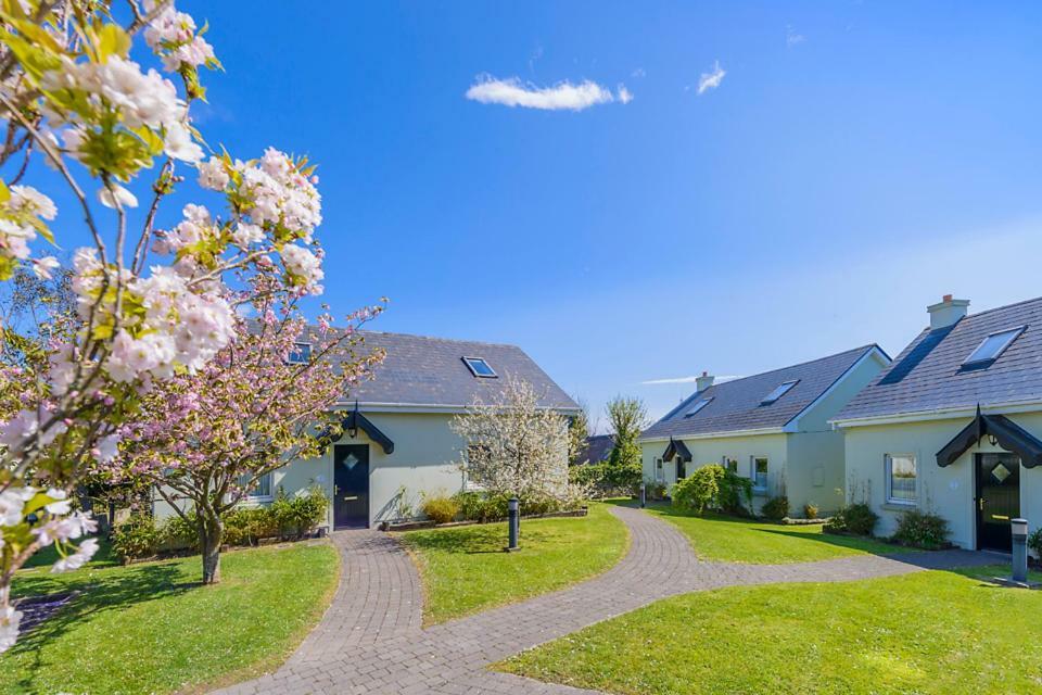 Dingle Centre Townhouse An Capall Dubh Dingle Exterior foto
