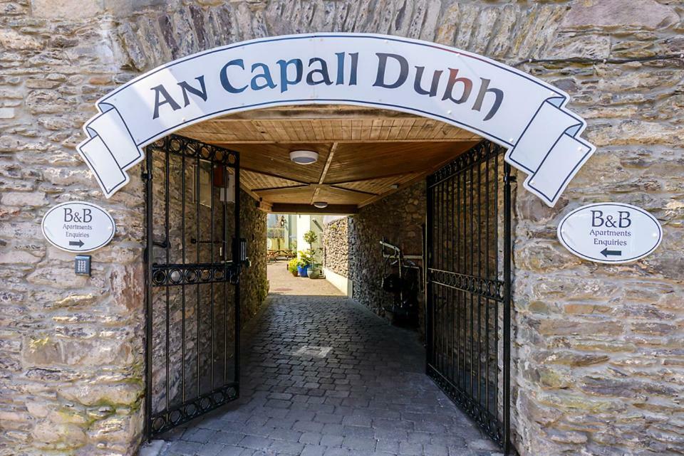 Dingle Centre Townhouse An Capall Dubh Dingle Exterior foto